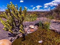 San Miguel de Allende, El Charco del Ingenio Jardín Botánico